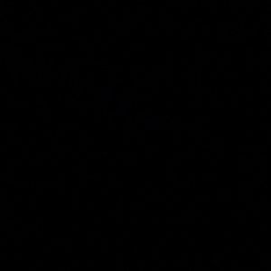 Meet your Posher, Cheyenne